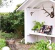 Alte Holzleiter Im Garten Dekorieren Inspirierend Deko Für Große Fenster — Temobardz Home Blog