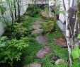 Asia Garten Frisch 29 Diy Gartenideen Mit Steinen