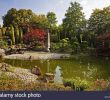 Bad Langensalza Japanischer Garten Genial Deutsch Japanisch Stockfotos & Deutsch Japanisch Bilder Alamy