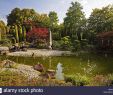 Bad Langensalza Japanischer Garten Genial Deutsch Japanisch Stockfotos & Deutsch Japanisch Bilder Alamy