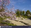 Bad Langensalza Japanischer Garten Inspirierend Deutsch Japanisch Stockfotos & Deutsch Japanisch Bilder Alamy