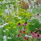 Baldur Garten Versand Frisch 111 Pins Zu Garten Für 2020