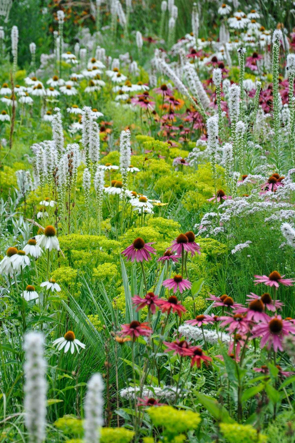 Baldur Garten Versand Frisch 111 Pins Zu Garten Für 2020 | Garten Anlegen