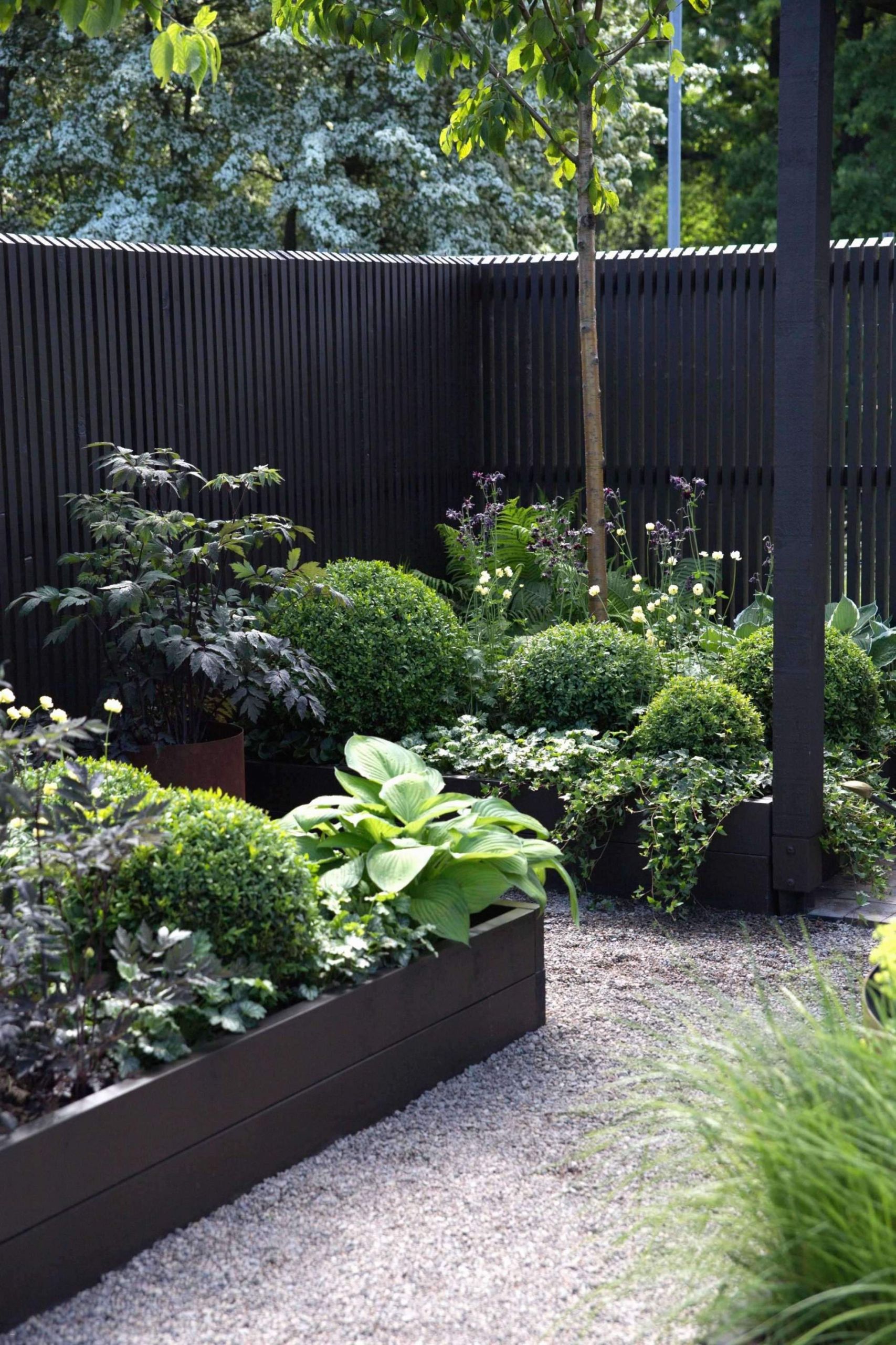 Baldur Garten Versand Genial Winterharte Gräser Garten — Temobardz Home