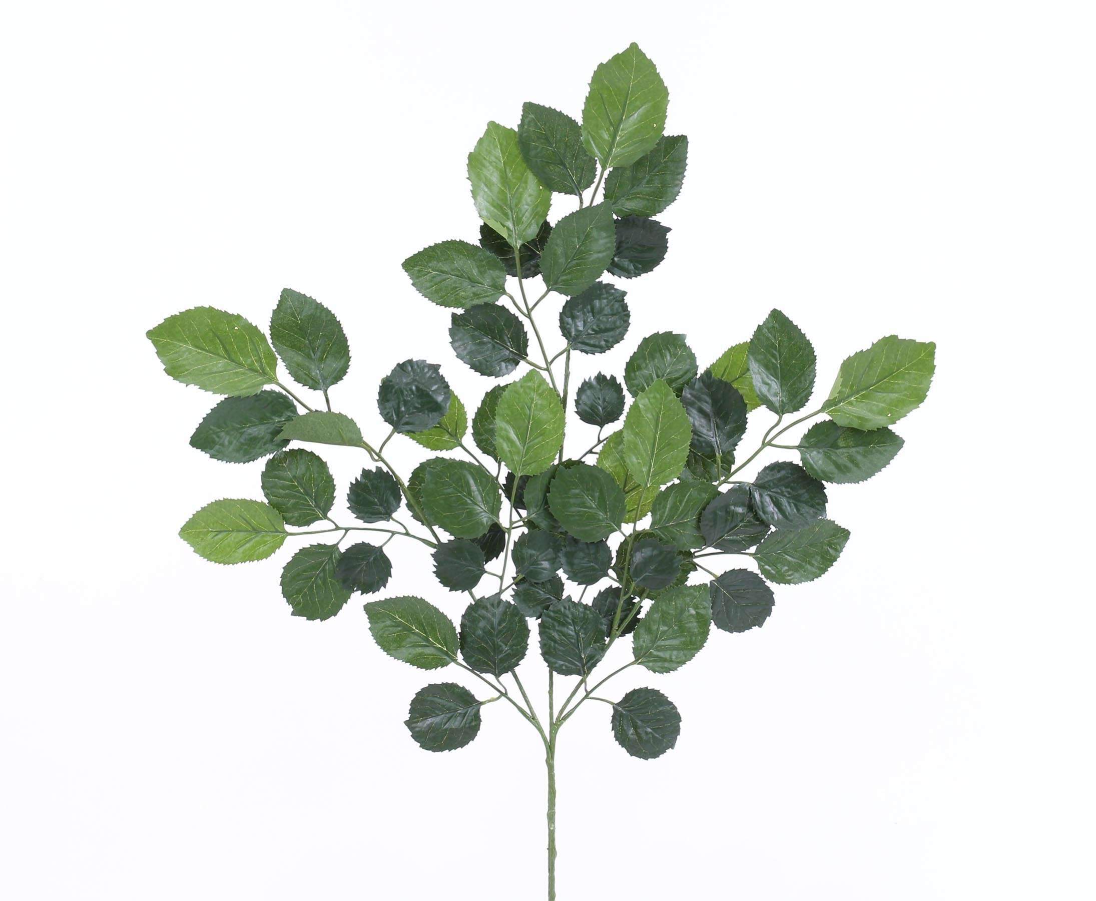 Kunstpflanzen Zweig mit schwer entflammbaren Buchenblaetter 65cmxN5BeQntz9mMP 1280x1280 2x