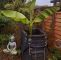 Bananenbaum Im Garten Reizend 571 Best Garten Images