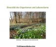 Bärlauch Im Garten Luxus Protokoll Frühlingswaldexkursion Bsc Biow 6 Studocu