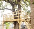Baumhaus Garten Frisch Build Your Own Treehouse