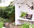 Baumstamm Dekorieren Garten Frisch Garderobenständer Holz Selber Bauen — Temobardz Home Blog