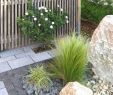 Bepflanzung Garten Das Beste Von Garten Sichtschutz Pflanzen — Temobardz Home Blog