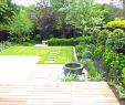 Bepflanzung Garten Elegant Garten Sichtschutz Pflanzen — Temobardz Home Blog