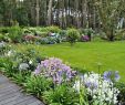 Bepflanzung Garten Inspirierend Ein Bretonischer Grünanlage Mit Agapanthus Und Blauen
