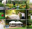 Berlin Garten Der Welt Einzigartig Eine Romantische Hochzeitsfeier Im Eigenen Garten Hat