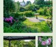 Berlin Garten Der Welt Genial Die 50 Besten Bilder Von Gartenreisen Schönsten
