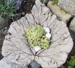 Beton Deko Garten Inspirierend Diy Concrete Leaves Blätter Aus Zement