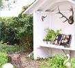 Beton Ideen Für Den Garten Elegant Osterdeko Selber Machen Für Draußen — Temobardz Home Blog