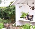 Beton Ideen Für Den Garten Elegant Osterdeko Selber Machen Für Draußen — Temobardz Home Blog
