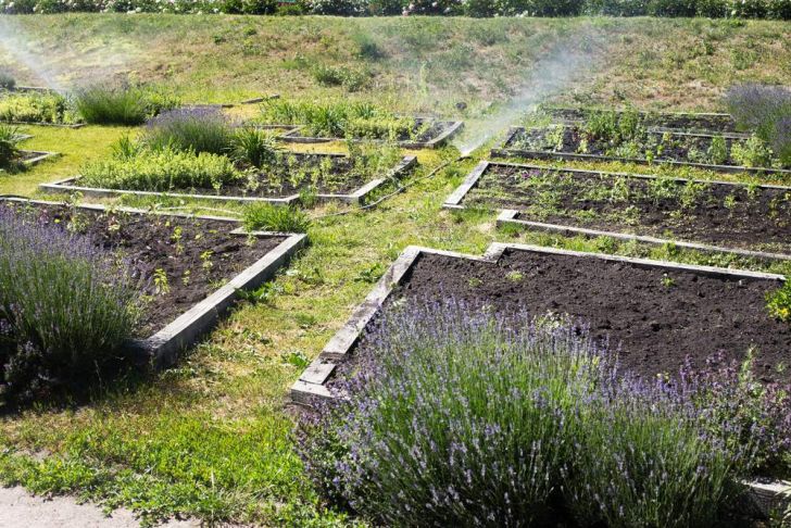Bewässerung Garten Selber Bauen Elegant Bewässerung Für Den Garten Selber Bauen Die Besten Ideen