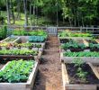 Bewässerung Garten Selber Bauen Frisch Hochbeet Selber Bauen Und Bepflanzen Vorteile