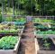 Bewässerung Garten Selber Bauen Frisch Hochbeet Selber Bauen Und Bepflanzen Vorteile