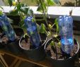 Bewässerung Garten Selber Bauen Inspirierend Bewässerung Selber Bauen Die Besten Ideen Tipps Und Tricks