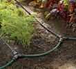 Bewässerung Garten Selber Bauen Neu Bewässerungssystem Im Garten Tropfbewaesserung Schlaeuche