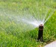 Bewässerung Garten Selber Bauen Reizend Automatische Bewässerung Bewässerungsplan Anlegen › Das