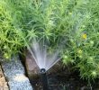 Bewässerungsanlage Garten Das Beste Von Bewässerungssystem Für Den Garten Sparsam & Bequem I Galanet