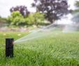 Bewässerungsanlage Garten Inspirierend Bewässerungsanlage Pflegen ǀ Tipps Von Egli Garten Ag Aus