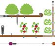 Bewässerungsanlage Garten Inspirierend Bewässerungssystem Verlegen Mit Tipps Von Hornbach