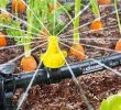 Bewässerungsanlage Garten Reizend Automatische Gartenbewässerung Tipps Für Planung Und