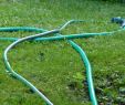 Bewässerungsanlage Garten Reizend Garten Bewässerungssystem Selber Bauen – Pflanzen Für