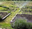 Bewässerungsanlage Garten Schön Bewässerung Für Den Garten Selber Bauen Die Besten Ideen
