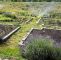 Bewässerungsanlage Garten Schön Bewässerung Für Den Garten Selber Bauen Die Besten Ideen