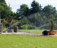Bewässerungsanlage Garten Schön Bewässerungsanlagen Für Hausgärten System Rain Bird