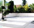 Bewässerungssystem Garten Neu Sträucher Als Sichtschutz Zum Nachbarn — Temobardz Home Blog
