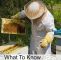 Bienen Halten Im Garten Einzigartig Bienenzucht 101 Was Sie Wissen Müssen Bevor Sie Mit Der