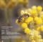 Bienen Halten Im Garten Inspirierend Kalender I Wildbienen Garten Webseite
