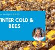 Bienen Halten Im Garten Inspirierend Winter Cold and Honey Bees Beekeeping In Winter is Not Easy