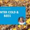 Bienen Im Garten Halten Schön Winter Cold and Honey Bees Beekeeping In Winter is Not Easy