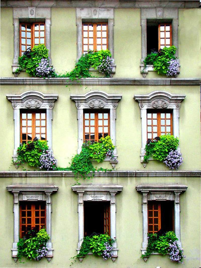 garten busche inspirierend sadzenie balkonu 60 oryginalnych pomysac282c2b3w of garten busche