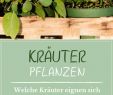Bio Garten Genial Kräuter Pflanzen Anleitungen & Tipps Für Fensterbrett