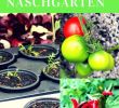 Bio Garten Luxus Probiere Regionale Obst Und Gemüsesorten Und Exoten Im