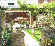 Blickpunkt Garten Elegant Kleiner Reihenhausgarten Gestalten — Temobardz Home Blog