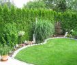 Bodenbeleuchtung Garten Elegant 30 Reizend Garten Pflegeleicht Gestalten Luxus