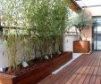Bodenbeleuchtung Garten Neu Pflanzkübel Aus Holz Im Spotlicht – 25 Ideen Für