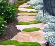 Bodendecker Garten Reizend Garden Path Designs Ideas