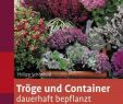 Bodendecker Garten Schön Tröge Und Container