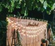 Bonsai Garten Traunreut Inspirierend 35 Inspirierend Hochzeit Im Garten Inspirierend