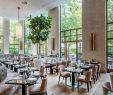 Botanischer Garten Amsterdam Frisch sophia S Restaurant Im the Charles Hotel